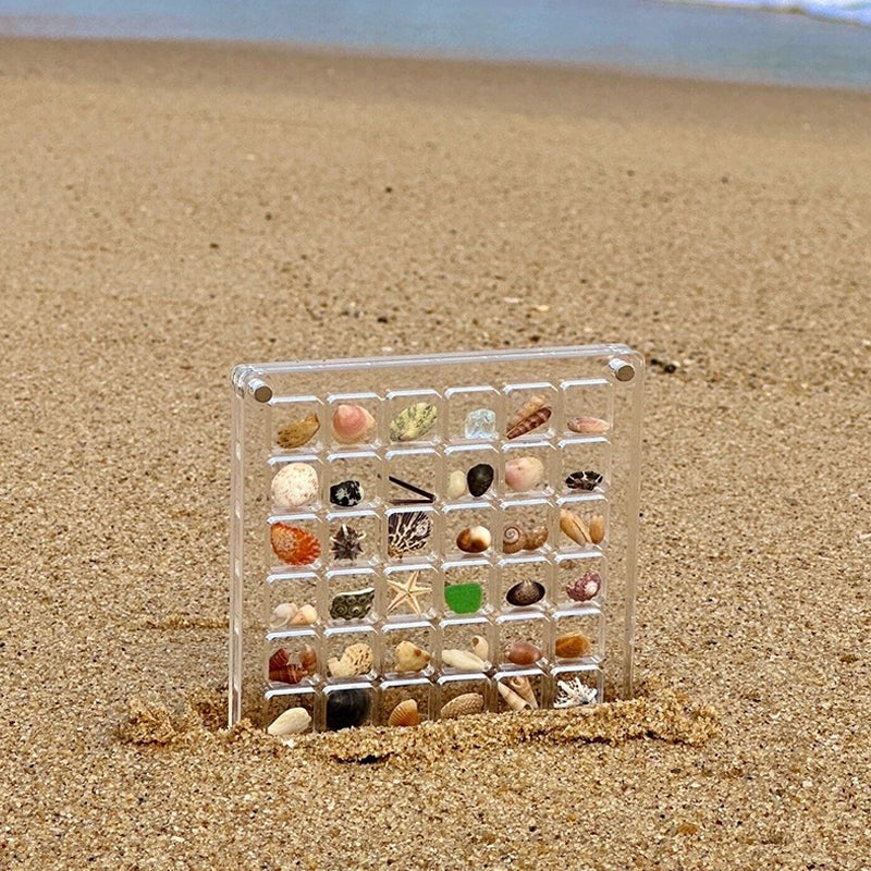 Acrylic Magnetic Seashell Display Box