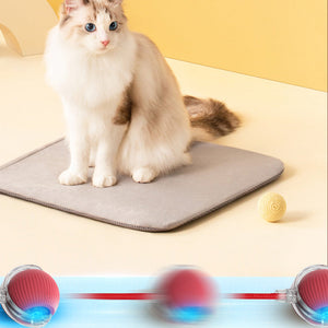 Indoor Cat Interactive Ball