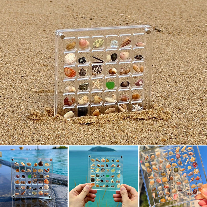 Acrylic Magnetic Seashell Display Box