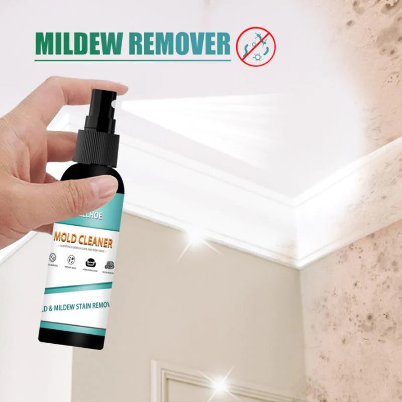 Mold Cleaner for Furniture Tiles