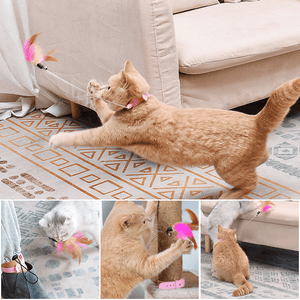 Interactive Funny Cat Toys