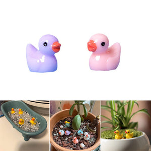 🦆Tiny Ducks | Challenge Hiding Ducks(50 PCS)