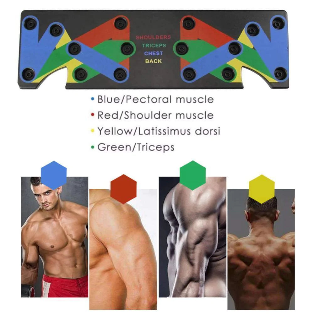 Coded Push Up Muscle Board