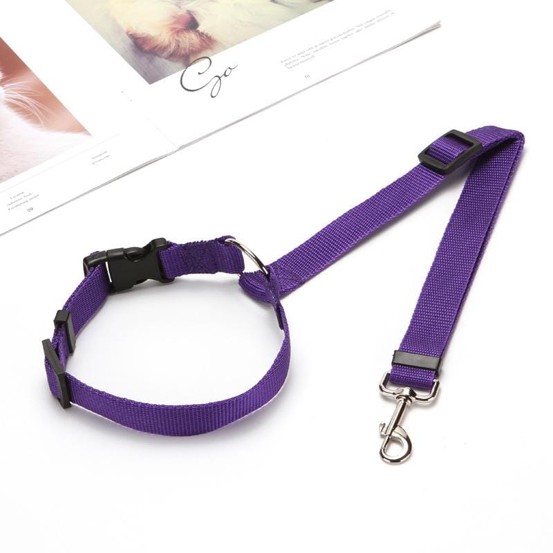 😉Adjustable Car Dog Leash