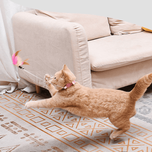 Interactive Funny Cat Toys