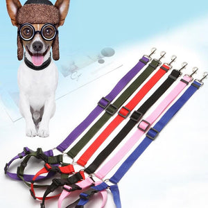 😉Adjustable Car Dog Leash