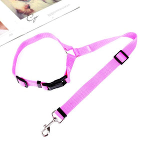 😉Adjustable Car Dog Leash