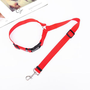 😉Adjustable Car Dog Leash