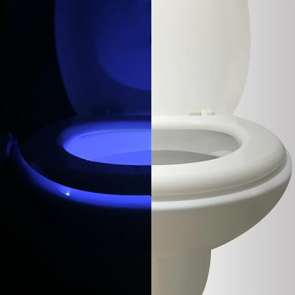 Hirundo 16-Color Motion Sensor LED Toilet Night Light