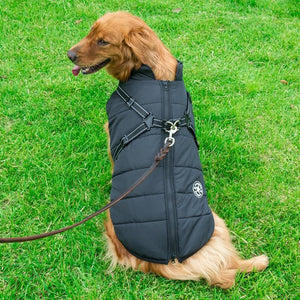 Winter Zipper Coat for Dogs