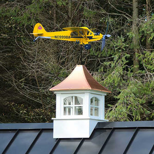 Airplane Weathervane