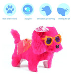 Electronic Pet Dog Toy