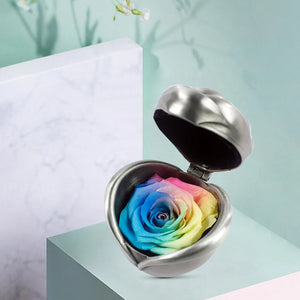 Preserved Flower Rose