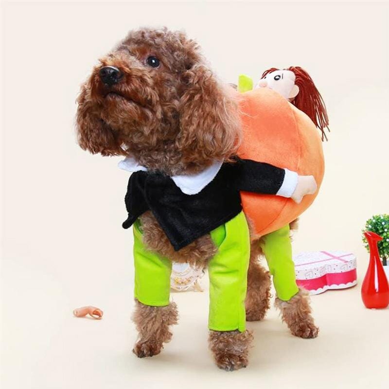 🎃Pet Dog Pumpkin Halloween Costume🎃