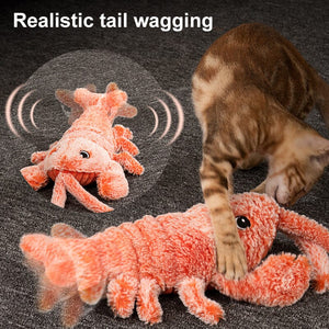 Interactive Cat And Dog Toy